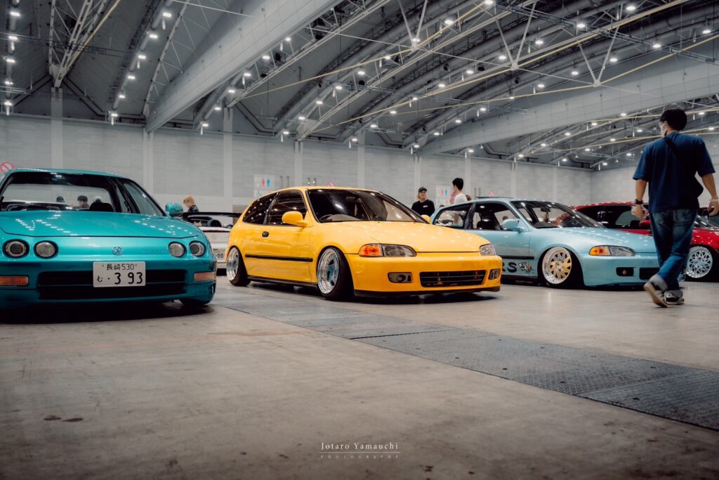 S__56524865_0